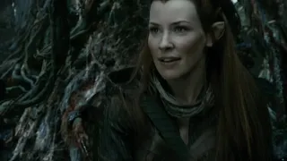 The Hobbit: The Desolation of Smaug | Captured by the Elves (2/12)