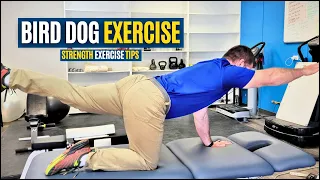 How to Perform Bird Dog Exercise Properly | Spinal Strength Exercise Tips