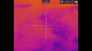 Testing the AGM Rattler TS19 Thermal Scope at night with no moonlight