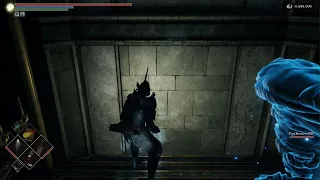 Demon's Souls (PS5) - When you summon a phantom but forgot you already beat the boss...