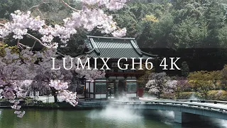 LUMIX GH6 CINEMATIC 4K VIDEO TEST | OLYMPUS 12-40mm F2.8