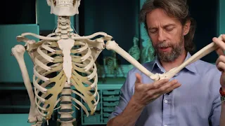 Skeletal joints introduction