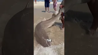 He caught a shark with his hands😱