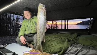 Giant Rainbow Trout Catch and Cook - Riverside Truck Camping