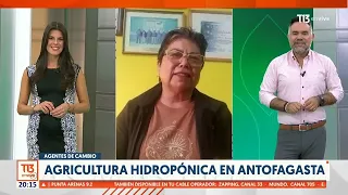 Agentes de Cambio: La agricultora hidropónica de Antofagasta