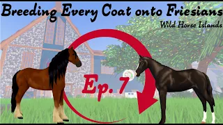 Ep 7 - Breeding Every Coat onto Friesians - Wild Horse Islands