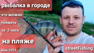 Рыбалка на спиннинг в городе. Streetfishing. Сколько можно поймать за 2 часа