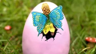 Fairy Egg Hatches!