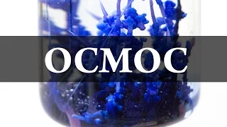 Осмос. Химический сад. Химия – просто