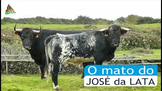 O mato do José da Lata/ 03Nov2020