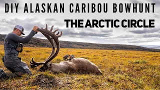 DIY CARIBOU BOW HUNT in Alaska North of THE ARTIC CIRCLE | Bowmar Bowhunting |
