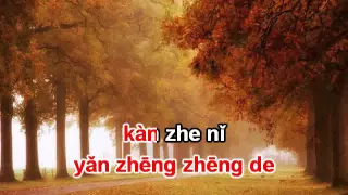 Ước nguyện sao băng karaoke beat 星语心愿伴奏