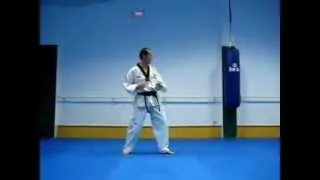 14 Estilos de patadas de taekwondo y dos con salto, 14 styles of taekwondo kicks and two jumping