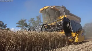 New Holland CX5090 Hillside [Az. Agr. Ruggieri]  -Harvest Season 2020-