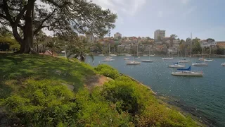 Sydney Video Walk 4K - Cremorne Point Spring 2017