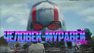 Человек-муравей и Оса  - русский трейлер -  (Версия из 80-x VHS)