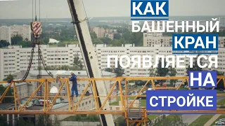 Как башенный кран появляется на стройке. How a tower crane appears at a construction site.