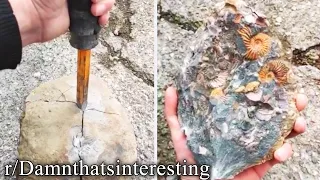 r/Damnthatsinteresting | top interesting reddit moments