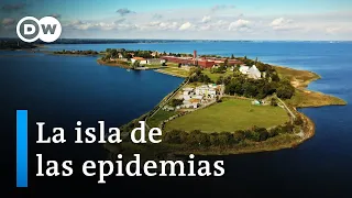 El instituto de virología más antiguo del mundo | DW Documental