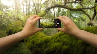 Xperia 1 V - Relaxing POV Forest Photography
