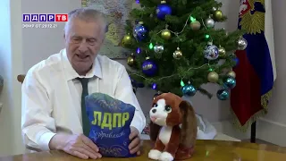Взрыв мозга: Жириновский поздравляет девочку Дашу с Новым годом и дарит подарок