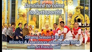 Sri Francis Goh | Satsang Season 5 Ep 11| Miracles & Experiences of Sathya Sai Baba