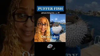 Puffer Fish