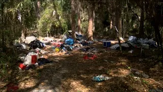 Two arrested for illegal dumping as Charlotte County handles litter problem