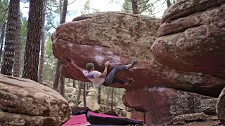 Repersutra 7b (Albarracin)