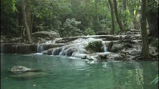 1 minute relaxing video with nature - A minute with nature/Flowing River