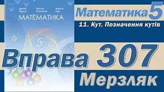 Мерзляк Вправа 307. Математика 5 клас