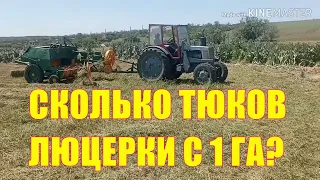 Сколько тюков люцерки с 1 га?