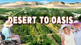 How They Make 6 Figures Turning Sandy Desert Into Farmland Oasis