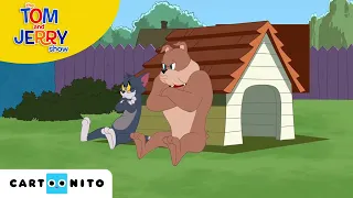 Tom ve Jerry | Tom ve Spike'ın Ziyafeti | Boomerang