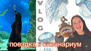 ВЛОГ: поездка в океанариум, медузы, скаты, капибары, акулы, касатки. ОЖИДАНИЕ vs РЕАЛЬНОСТЬ