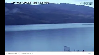 sighting of Giant Eel like creature on surface of Loch Ness, viewed on VILN Shoreland Lodges webcam