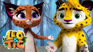 Leo and Tig 🦁 The Burnt Forest Mystery 🐯 Funny Family Good Animated Cartoon for Kids