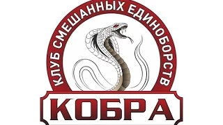 Открытая тренировка клуба смешанных единоборств Кобра