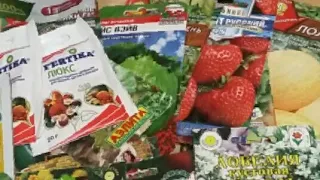 ЗАКАЗ СЕМЯН ИЗ ИНТЕРНЕТ МАГАЗИНА 🌱 SEEDSPOST.RU🌱   ЦВЕТЫ💐🌹 ОВОЩИ🍅 УДОБРЕНИЯ 08.01.2021