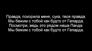 CYGO-Panda E [ТЕКСТ]