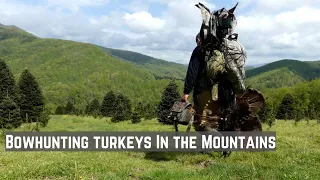 TRADITIONAL BOWHUNTING TURKEYS|Star Wars Day Gobbler|The Stickboys