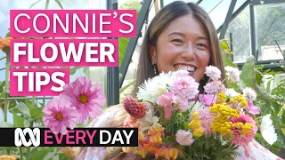 Here are seven beautiful cut flowers to start growing in spring | ABC Australia