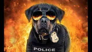 Show Dogs (2018) Trailer HD