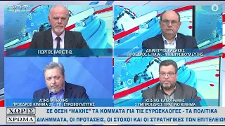 Ευρωεκλογές 2024 - Ο Δ. Καζάκης στο Αρτ TV - 24/5/2024