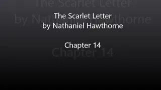 The Scarlet Letter by Nathaniel Hawthorne - Chapter 14 Audiobook