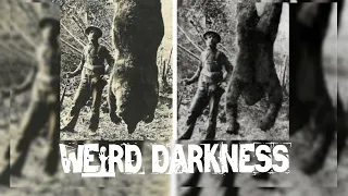 “LEGENDS AND LIES OF SASQUATCH: IS BIGFOOT REAL?” and More Freaky True Stories! #WeirdDarkness