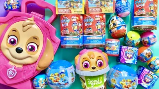 18 minutes of Paw Patrol ASMR MYSTERY SURPRISES Oddly Satisfying Unboxing Video