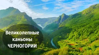 Великолепные каньоны Черногории. Природа Черногории