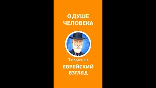 О ДУШЕ ЧЕЛОВЕКА.  Рав Ашер Кушнир