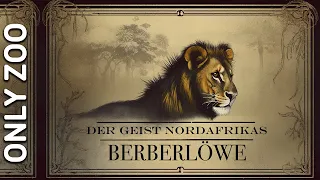 Only Zoo - Der Berberlöwe - Der Geist Nordafrikas